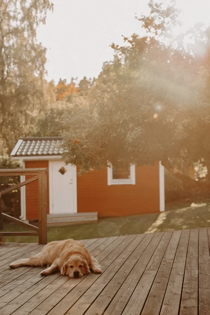 photographe famille stockholm