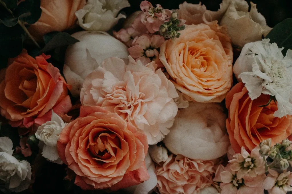 photographe mariage dime giverny